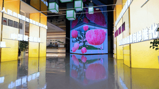 蘋(píng)果展廳設(shè)計(jì)施工-甘肅靜寧蘋(píng)果蘋(píng)果科創(chuàng)館